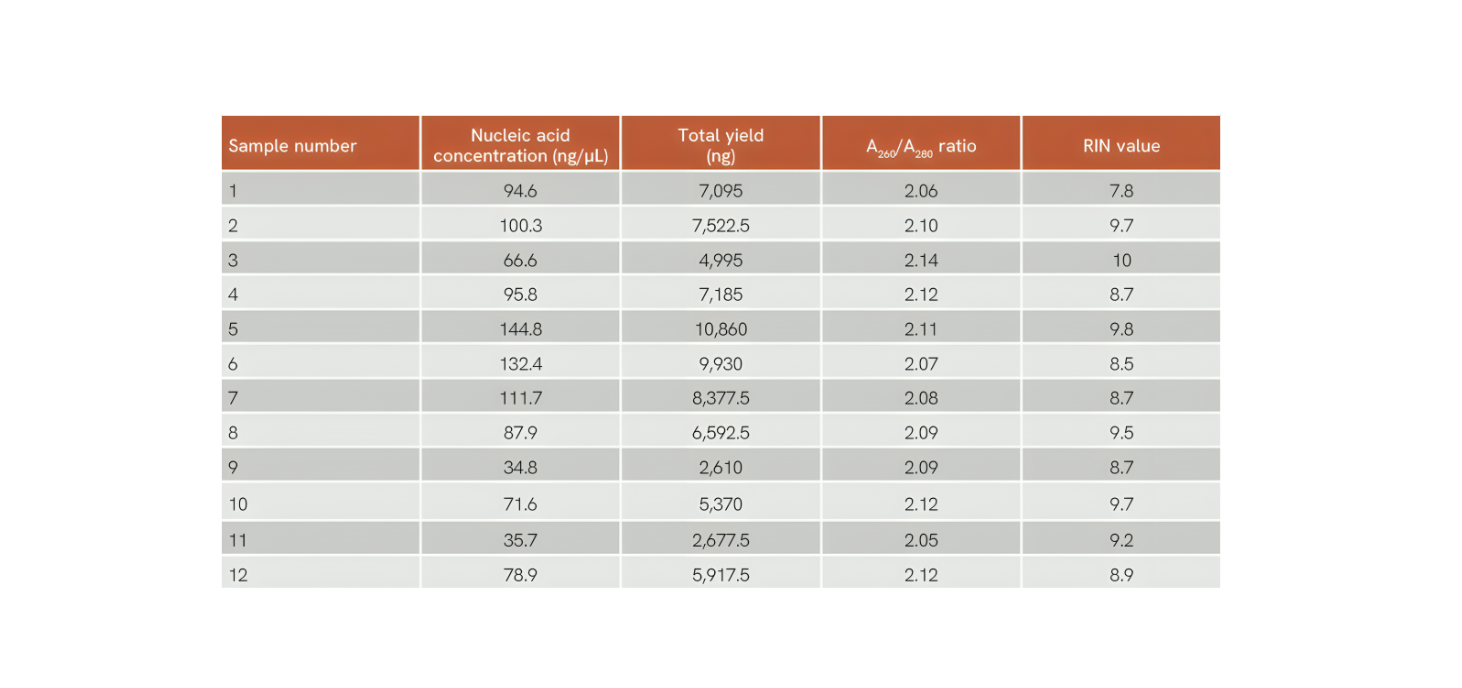 High Throughput RNA extraction from corn utilizing the Omni Bead Ruptor